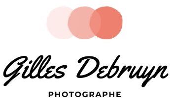 Gilles Debruyn